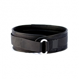 Weight Lifting Belt