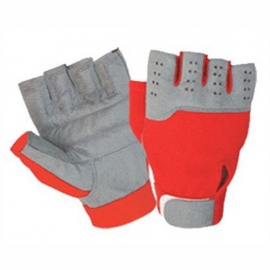 Weightlefting Gloves